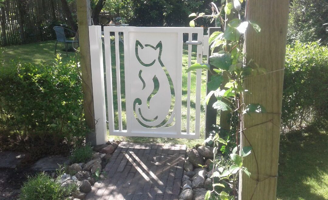 Witte kat