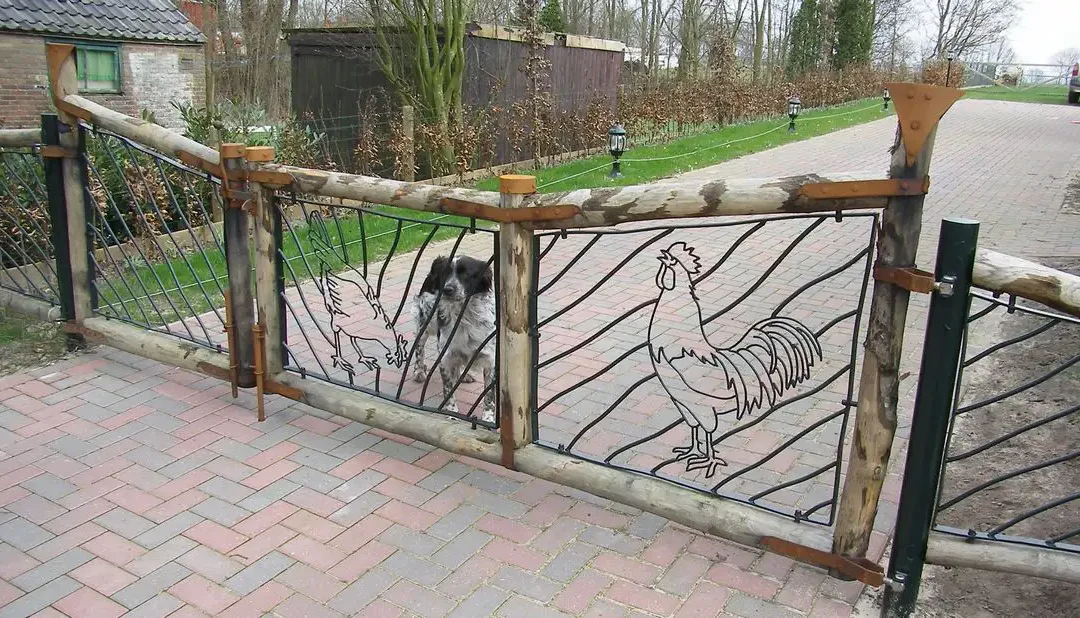 Kip en haan in de poort