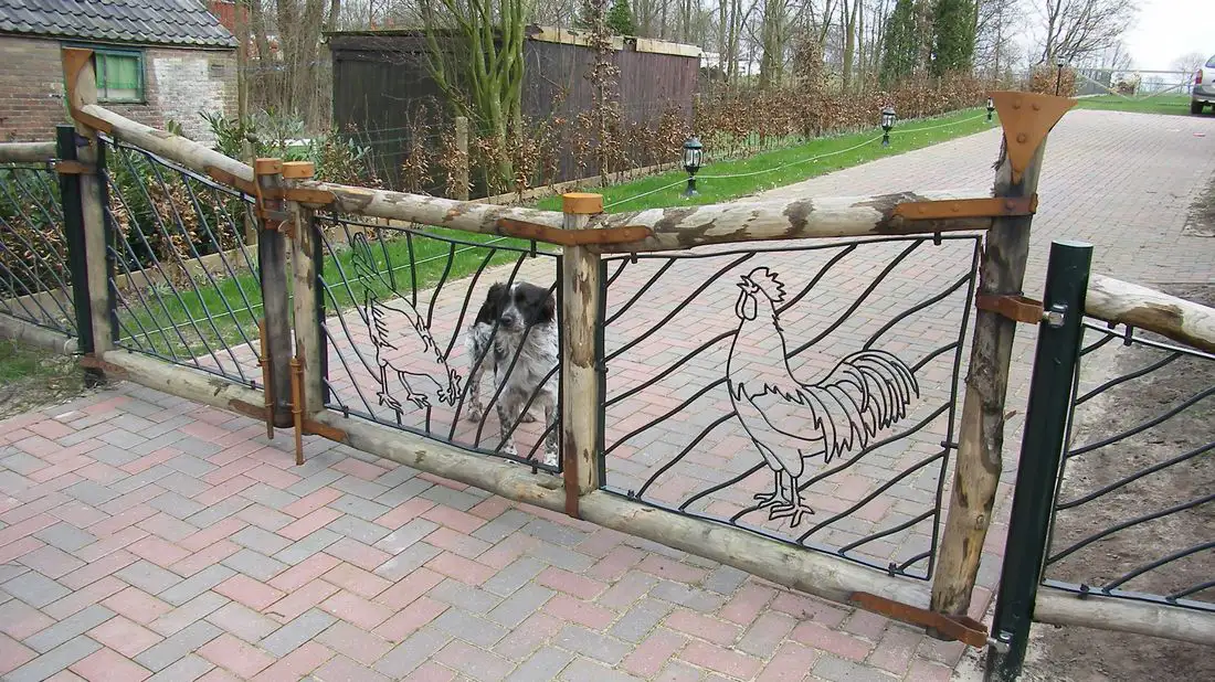 Persoonlijk hek - Kip en haan in de poort Persoonlijk hek - Kip en haan in de poort