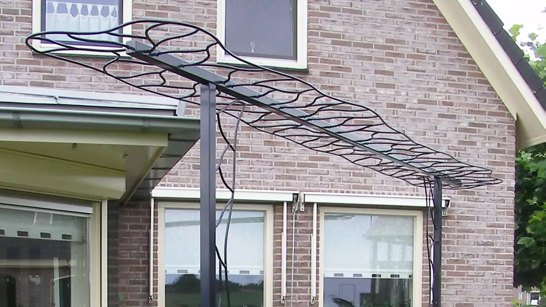 Klimplantornament of pergola