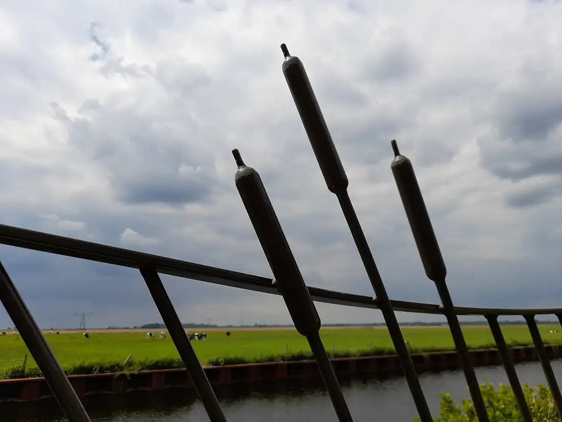 Reiger - Uniek hek